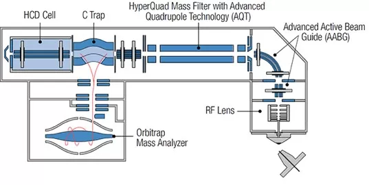 Q Exactive Plus Hybrid Quadrupole Orbitrap Mass Spectrometer Schematic Structure